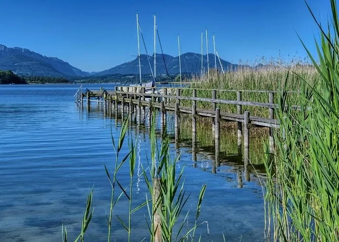 Bergfruehling